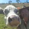 Glenn Allan - @glennallan1 - TikTok