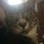 Glenn - @glennchantler99 - Instagram