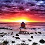 Andrew Glenn Appleby - @andrewglennappleby - Instagram