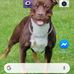 Glenn Schave - Facebook