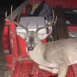 Glenn Baird - @glennbaird47 - Instagram
