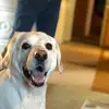 Glenn Baird - @glenn.baird7 - TikTok