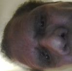 Glenn Bartow - Facebook