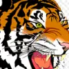 Glenwood Barstow - @glenwood.barstow - TikTok