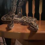 Glenn Bethune - @bethuneglenn - Instagram