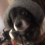 Glenn Betts VI - @haunsolo12345 - Instagram