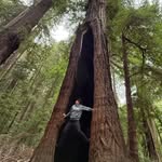 Glenna Boggs - @glenna_boggs - Instagram
