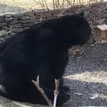 Glenn Boswell - @usglebos - Instagram