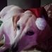 Glenna Bouchard - Facebook