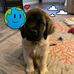 Glenn Browne - Facebook