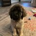 Glenn Browne - Facebook