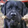 G Bumgardner - @g.bumgardner - TikTok