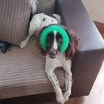 Glenn Burden - @glennladd - Instagram