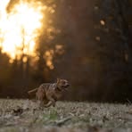 Glenn Burroughs - Facebook