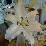 glenna byers - @glenna.byers - Instagram