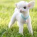 Glenna Byers - Facebook