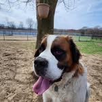 Glenn Caldwell - @glenn49547 - Instagram