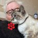 Glenn Caldwell - Facebook