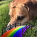 Glenn Caldwell - Facebook