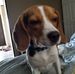 Glenn Cary - Facebook