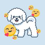 Glenn Chavez - Facebook