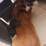 Glenn J Clements - @glennjclements - Instagram
