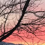 Glenn Cockrell - @glenn_cockrell - Instagram