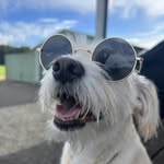 Glenn Connor - @glennconnor69 - Instagram