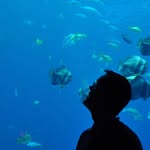 glenn crane - @gbj1974 - Instagram