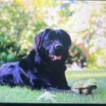Glenn Crowninshield - @glenncrowninshield - Instagram