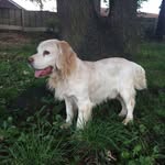 Glenn Crowther - @glenn.crowther.3 - Instagram