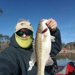 glenncrowell - @glenncrowell - Instagram