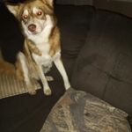 kookookid - @glenncrowe65 - Instagram