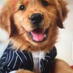 Glenn - @glen_ndalton - Instagram