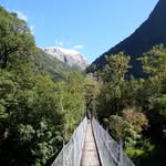 Glenndavey Farm - @farmglenndavey - Instagram