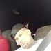 Glenn Diamond - Facebook