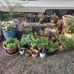 Glen Dodson - Facebook