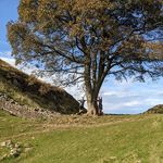 Glenn Adam Dodson - @gdodson89 - Instagram