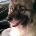 Glenn Dodson - Facebook
