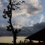 Glenn Dodson - @glenndodson21 - Instagram