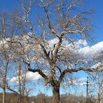 Marty Glenn Dodson - @mglenn995 - Instagram