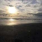 Glenn Donovan - @glennwilliamdonovan - Instagram