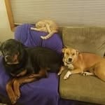 Glenn Dowdy - @glenndowdy7 - Instagram