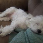 8575442508 - @glenndukes123 - Instagram