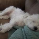 glenndukes1 - @glenndukes17195 - Instagram