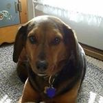 Glenn Ebersole - @glennebersole - Instagram
