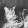 glennelder363 - @glennelder363 - TikTok