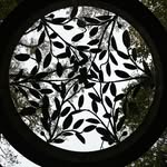 Erbs - @glennerbs - Instagram