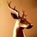 Glenn Ewald - Facebook