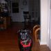 Glenn Fleischman - Facebook